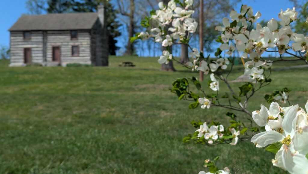 The Flohr House and a flowering dogwood tree on the church grounds in spring