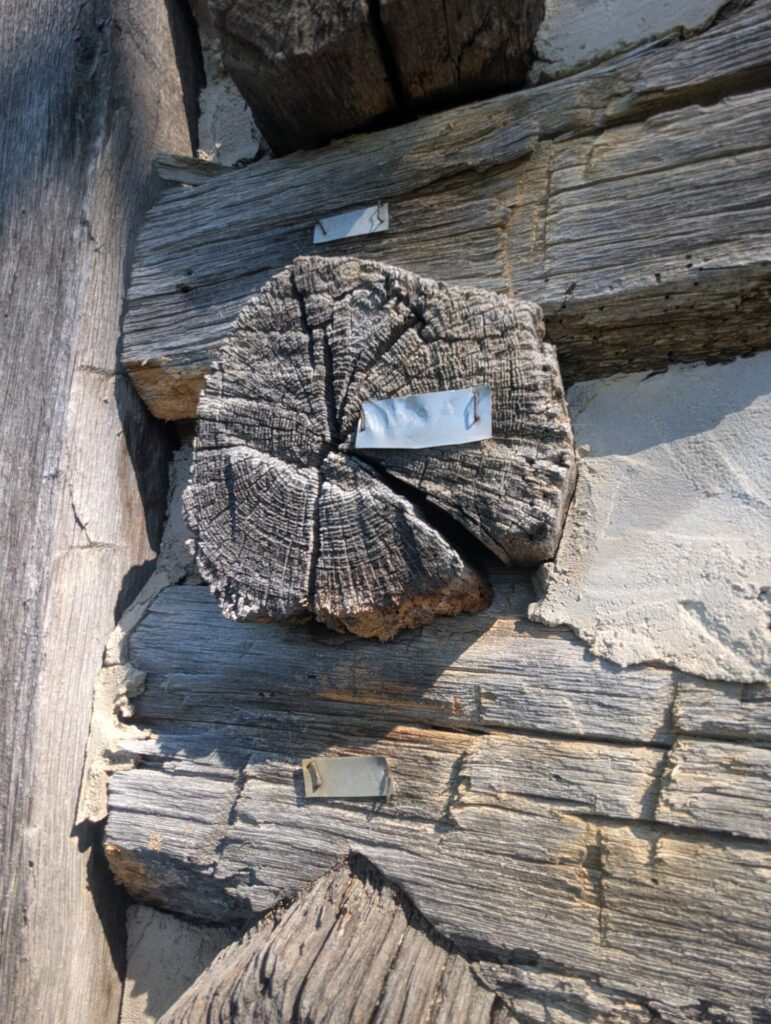 Aluminum numbered tag fastened into a log during the 1984 disassembly and reassembly